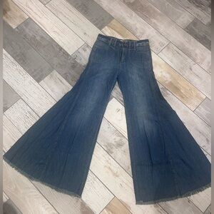RARE! Free People Extreme Wide Leg Flare Pants! Worn Twice!